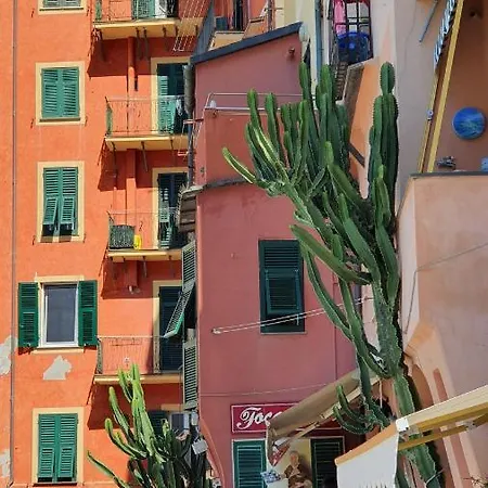 Apartamento Flat Beachfront Camogli