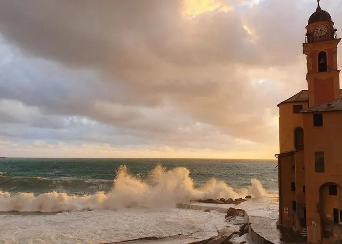 Flat Beachfront Lejlighed *