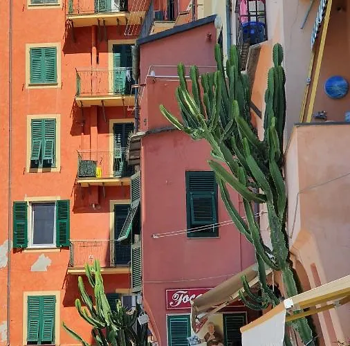 Appartement Flat Beachfront Camogli